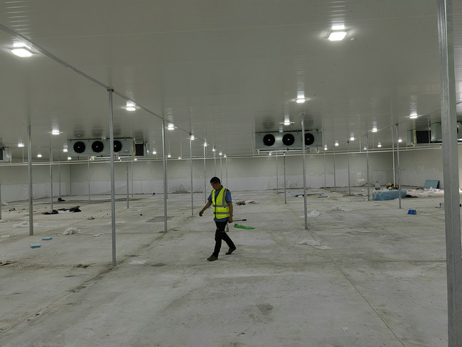 獼猴桃在獼猴桃冷庫(kù)貯藏中的主要問題與解決辦法