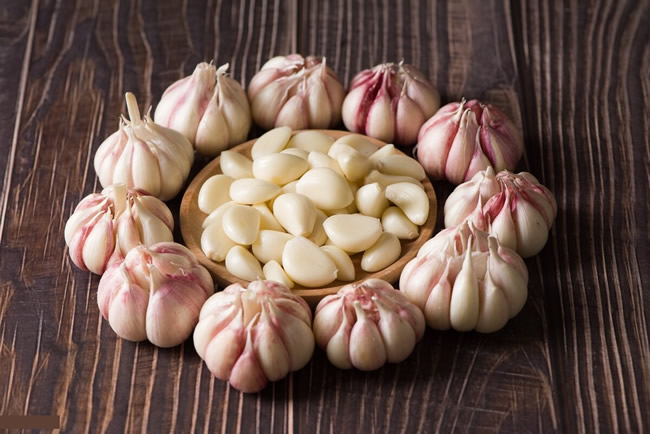 大蒜冷庫多少錢一平方？大蒜保鮮冷庫建造溫度及造價