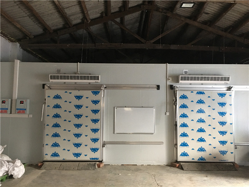 100噸冷庫(kù)建設(shè)成本多少錢?建100噸蔬菜冷庫(kù)造價(jià)